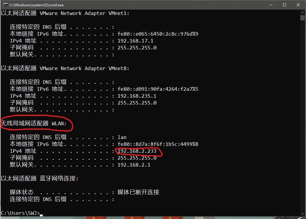 查看 ip ./assets/bc2d19ea4c8c7.png
