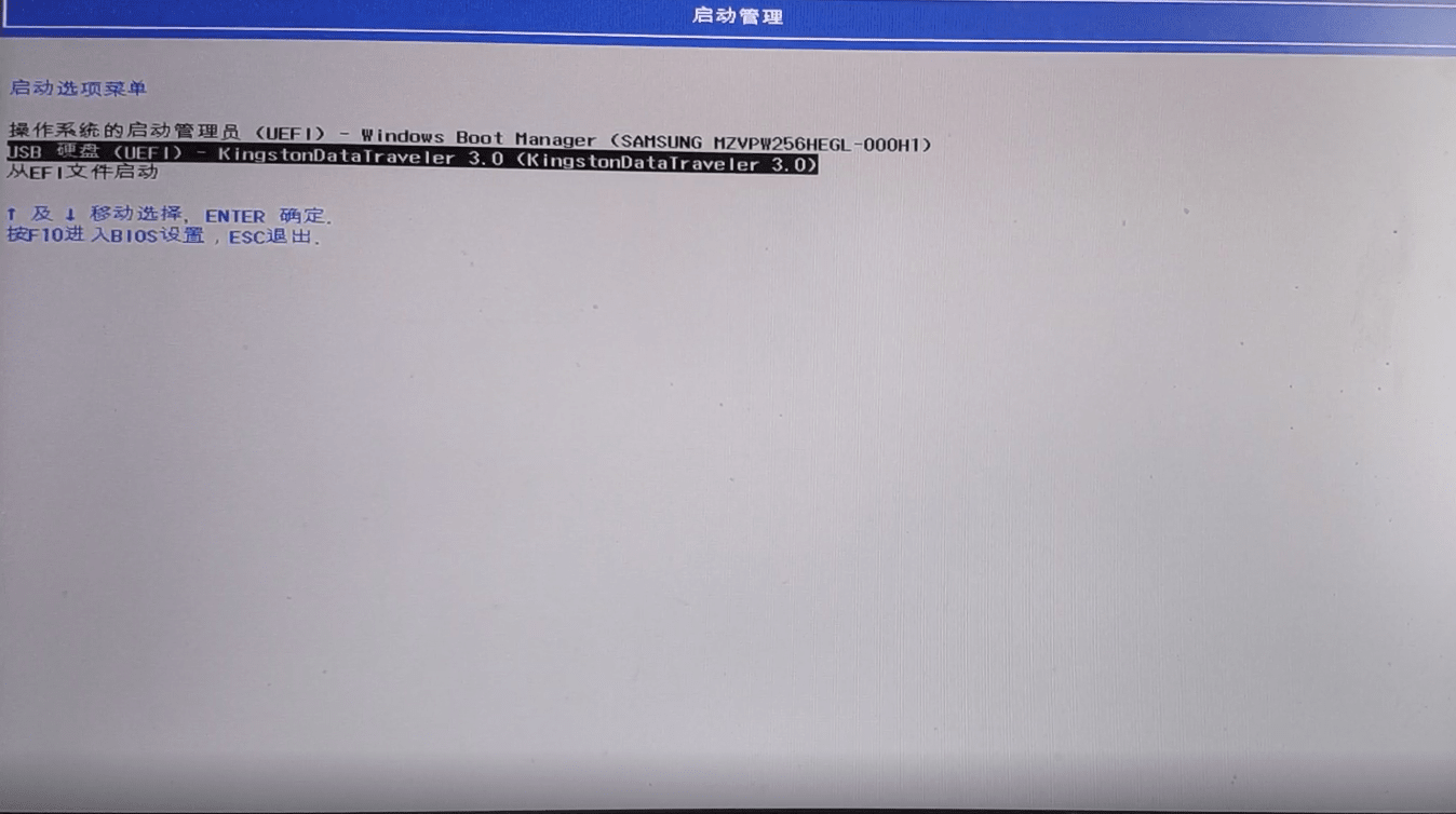 选择U盘启动 ./assets/508f0a658579e.png